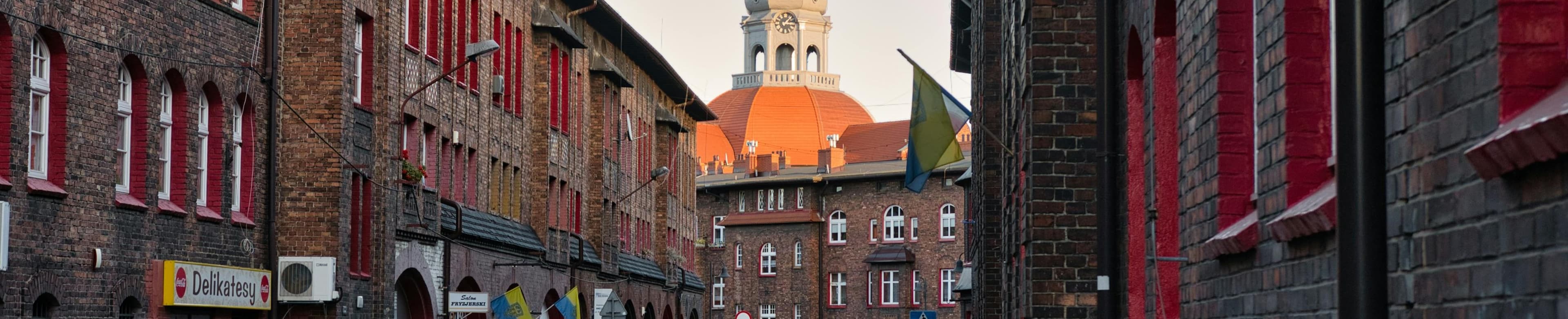 Adrian Pawlisz - Real Estate Agent in Wełnowiec