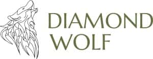 DIAMOND WOLF - Real Estate Agency in Tomaszów Mazowiecki